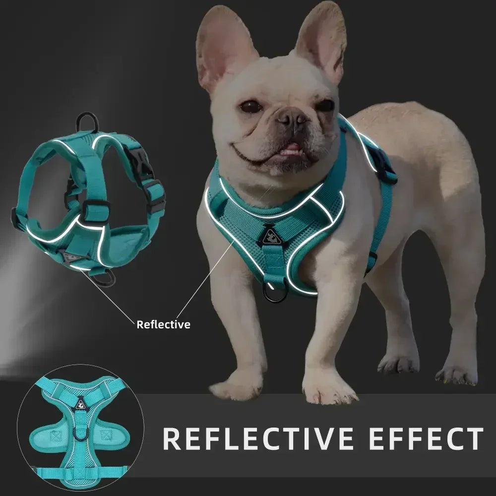 No-Pull Reflective Dog Harness & Leash Set – Adjustable Fit