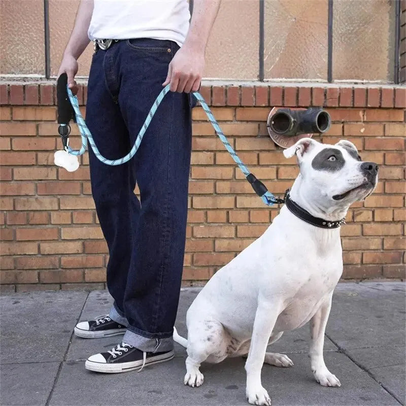 Reflective Heavy-Duty Dog Leash – Padded Handle Comfort