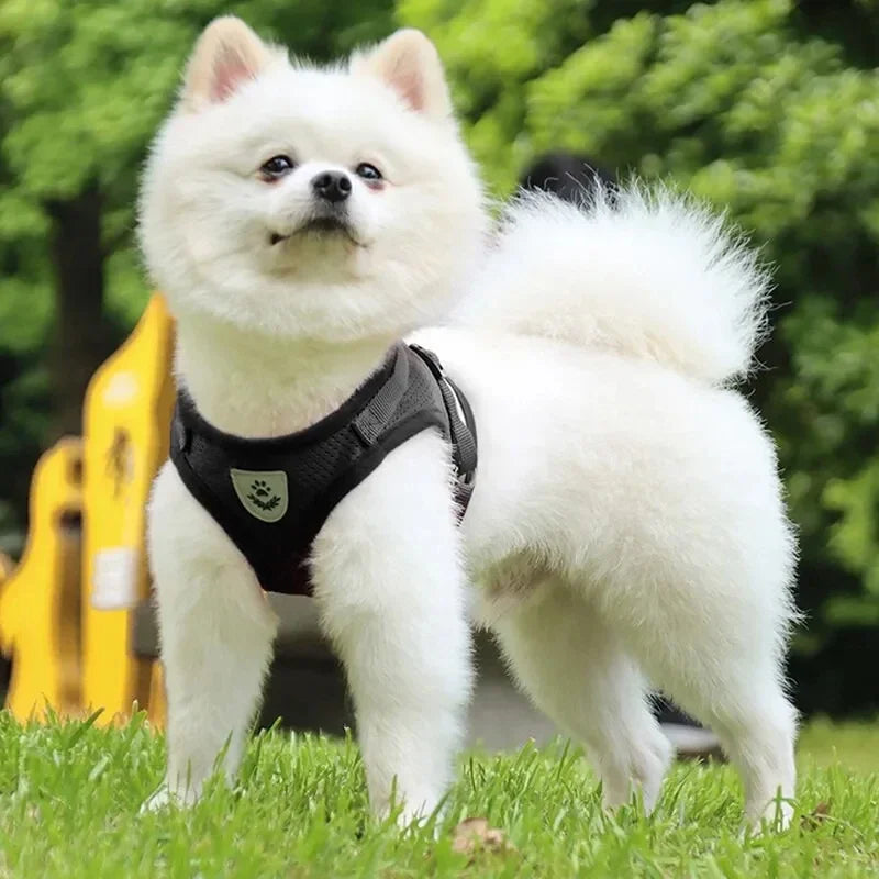 Adjustable Mesh Dog Harness & Leash – Comfortable Pet Vest